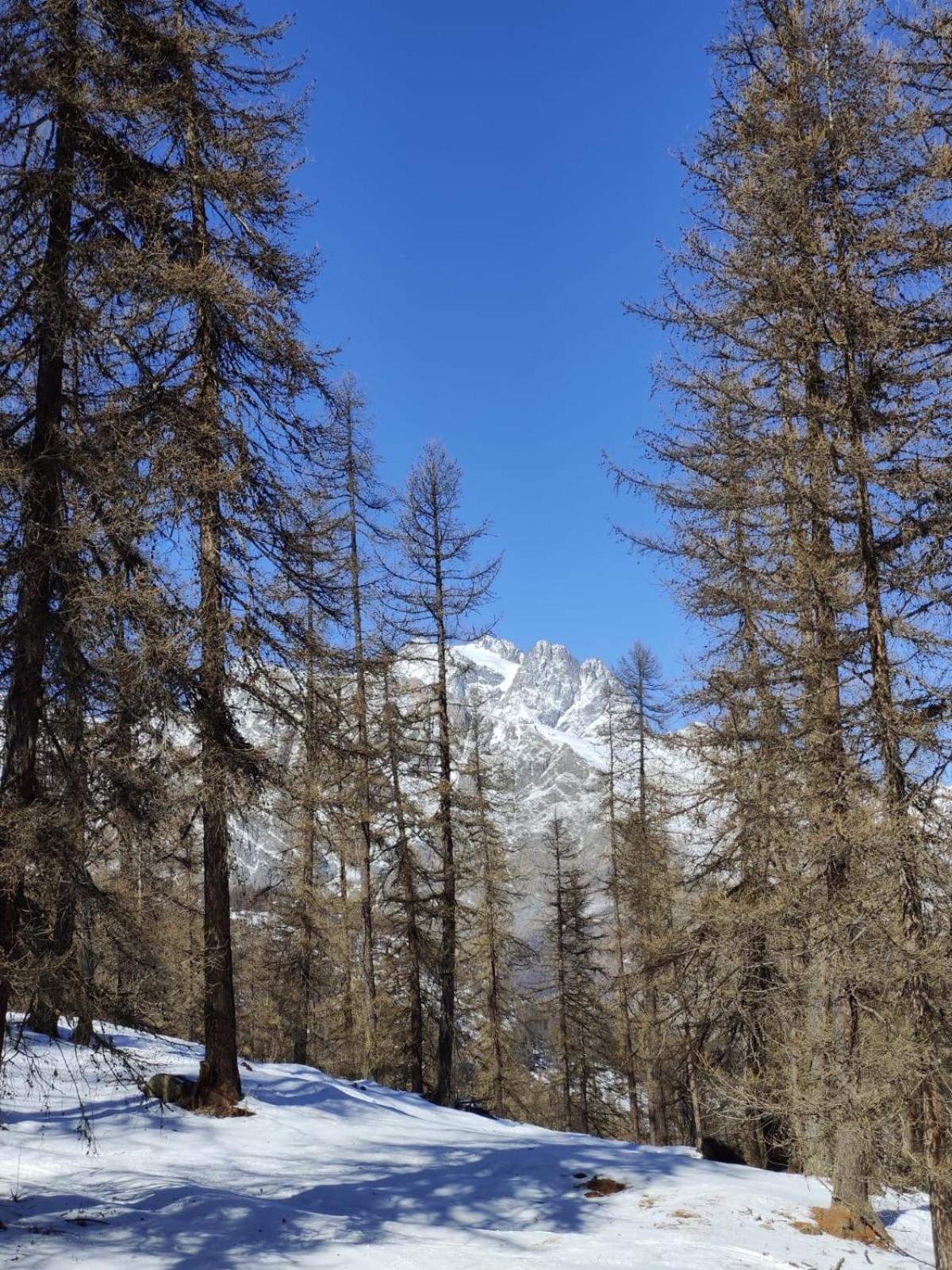 "La Batisse Des Pres" Lägenhet Puy-Saint-Vincent Exteriör bild