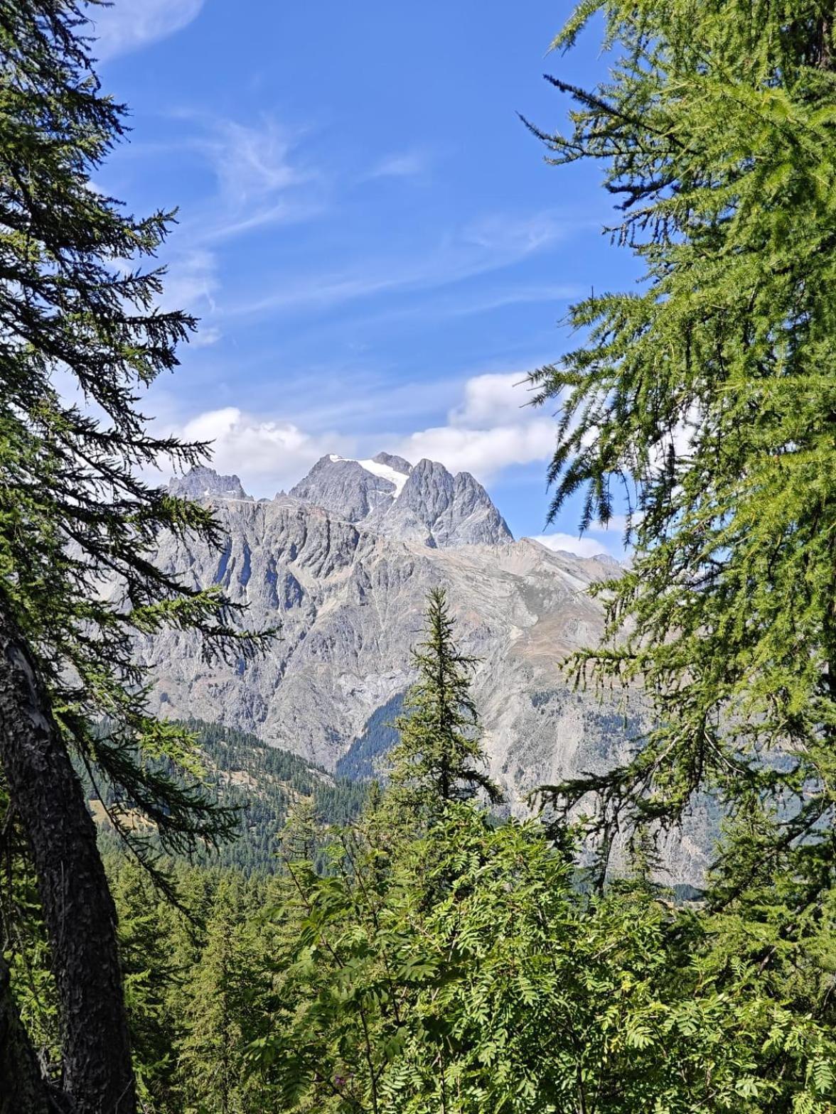 "La Batisse Des Pres" Lägenhet Puy-Saint-Vincent Exteriör bild
