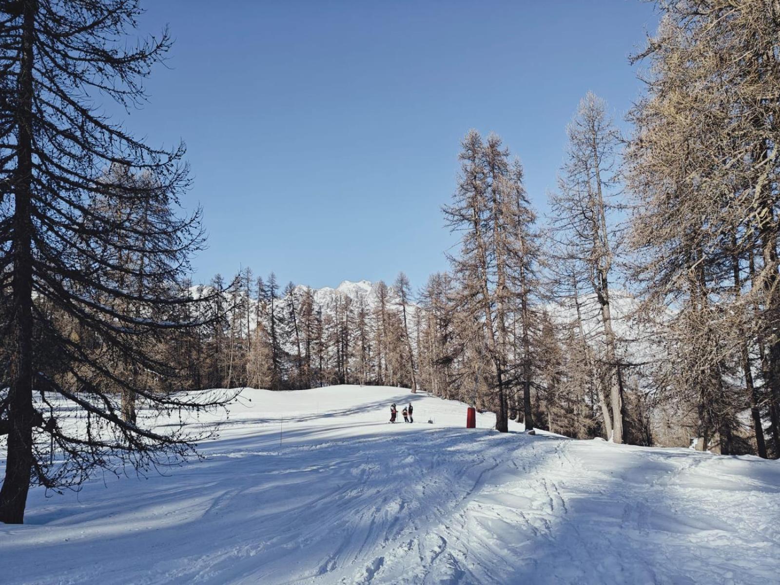 "La Batisse Des Pres" Lägenhet Puy-Saint-Vincent Exteriör bild